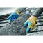 Cut Resistant Gloves